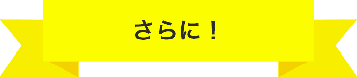 初期費用が無料